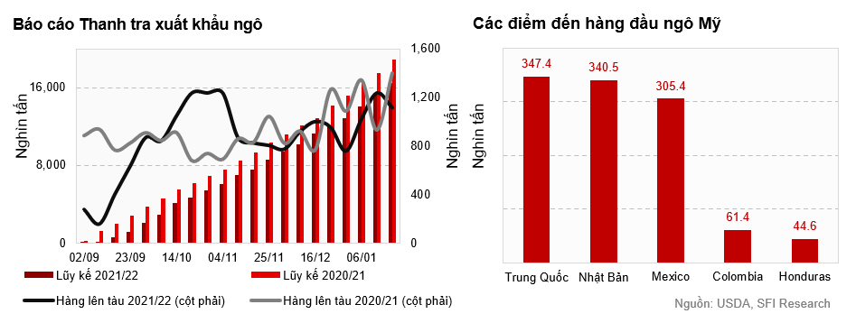 Giao hàng ngô Mỹ sang Trung Quốc có dấu hiệu gia tăng