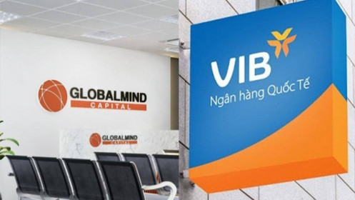 Chứng khoán Globalmind Capital về tay VIB?