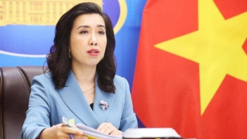 Việt Nam đề nghị Nhật khẩn trương điều tra kẻ dọa bắn máy bay