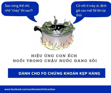 [Chứng khoán downtrend: chú ếch đã chết vì “ngồi trong nồi nước đang từ từ sôi như thế nào”]. (đọc đoạn 