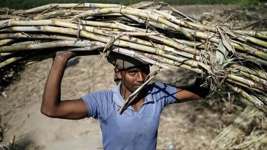 Ấn Độ áp đặt hạn chế xuất khẩu đường từ ngày 1/6. Trong một động thái quan trọng, chính phủ đã đưa ra  ...