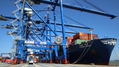 Cảng Container Quốc tế Tân Cảng Hải Phòng đón tuyến dịch vụ mới đi trực tiếp Bờ Tây Hoa Kỳ
