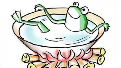 Chứng khoán downtrend: Chú ếch đã chết vì “ngồi trong nồi nước đang từ từ sôi như thế nào”