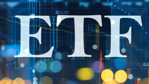 Quỹ Diamond ETF vươn lên top đầu TTCK Việt Nam