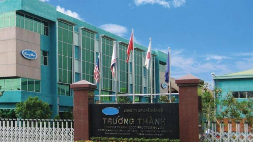 TTF giải trình nguyên nhân cổ phiếu bị cảnh báo