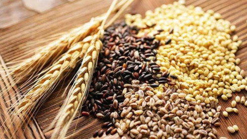 Ukraine đặt ra các hạn chế xuất khẩu ngũ cốc mới đối với Moldova, Romania
