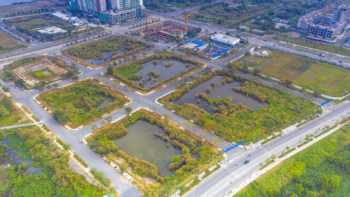 Cưỡng chế tiền thuế 2 doanh nghiệp trúng đấu giá đất vàng Thủ Thiêm