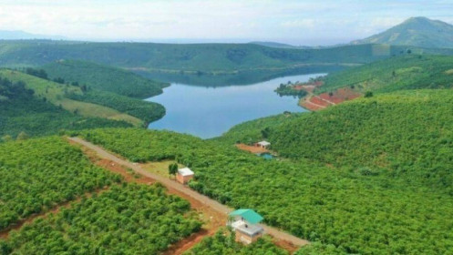 Novaland đề xuất tăng diện tích quy hoạch dự án hồ Đăk Long Thượng lên 32.434 ha