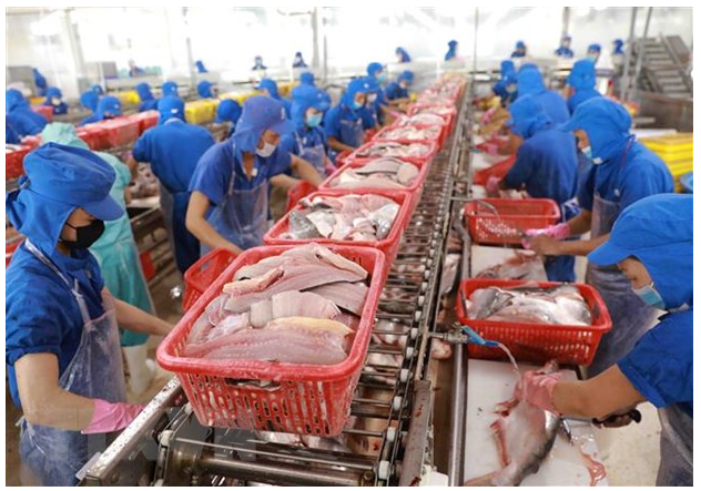 Xuất Khẩu Cá Tra ở Thị Trường Trung Quốc. Xuất khẩu cá tra sang Trung Quốc tăng 107%. Theo báo cáo của  ...