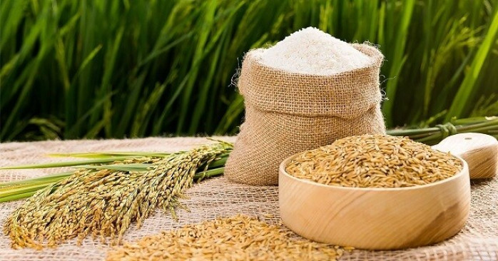Báo cáo thị trường gạo. ﻿. Trong 9 tháng đầu năm 2022, số liệu từ các tổ chức thế giới cho thấy sản  ...