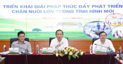 Thứ trưởng: 'Không để giá heo hơi ảnh hưởng đến chỉ số CPI'