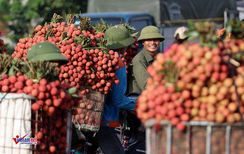 Trung Quốc thay đổi, Donald Trump khó lường, Việt Nam trong vòng xoáy