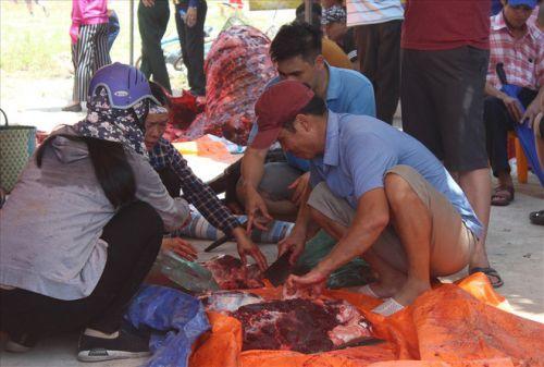 Thịt trâu chọi Đồ Sơn 2 triệu đồng/kg vẫn đắt khách