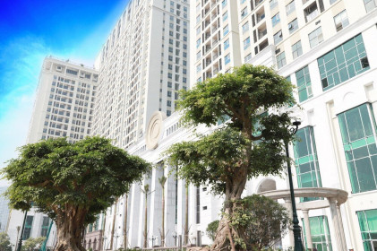 Roman Plaza 'khoác áo mới' sẵn sàng bàn giao tháng 12/2019