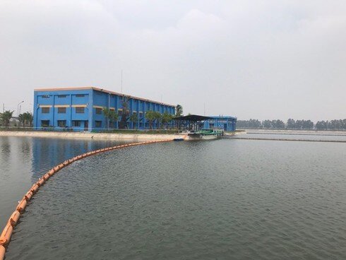 Shark Liên rời ghế CEO, 8X thay thế, người Thái áp đảo ban lãnh đạo nước Sông Đuống