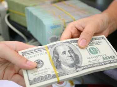 Giá USD hôm nay 20/11