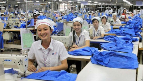 Phong Phú thoái thành công 4 triệu cp NTT