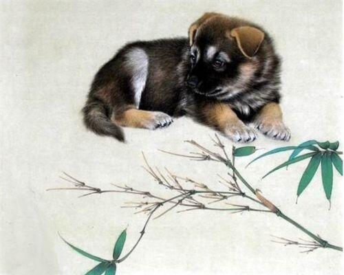 Tử vi 12 con giáp trong tháng 11 âm: Tuổi Dần nhiều lộc lá, tuổi Tỵ không nên cho vay tiền