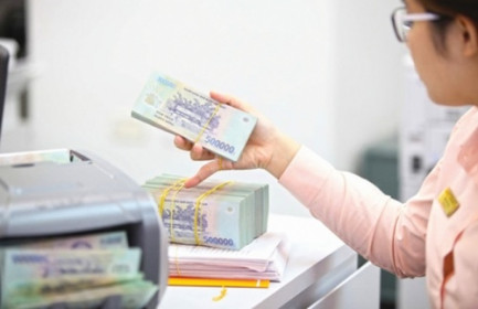 Ngân hàng 2020: Củng cố hoạt động để bước đi đường dài