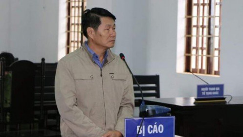 Đắk Nông: "Lập mưu" lấn chiếm đất rừng, nguyên phó chủ tịch huyện lĩnh án