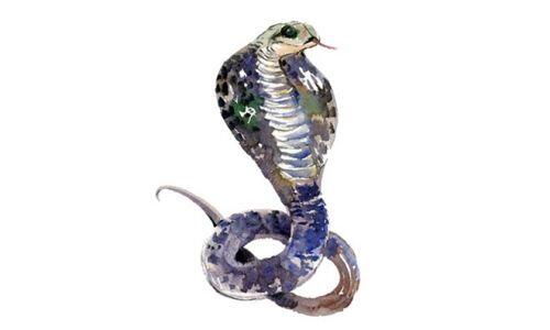 Những con giáp đỏ nhất trong năm Canh Tý 2020: Tiền nong rủng rỉnh, gia đạo hạnh phúc