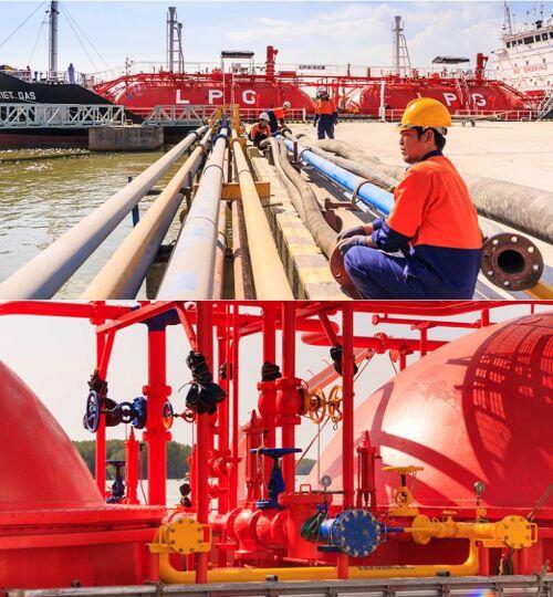 GSP đặt kế hoạch năm 2020 gần như đi ngang so với năm 2019