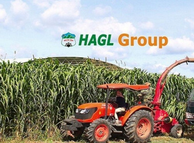 Thaco một lần nữa mua hụt cổ phiếu HNG