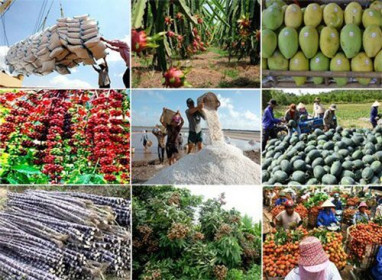 Tổng giá trị xuất khẩu nông sản đạt 41,3 tỷ USD