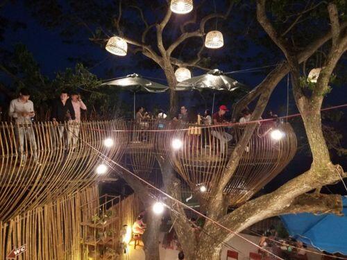 Cận cảnh những ngôi nhà “treo mình” trên cây, “độc” nhất Việt Nam