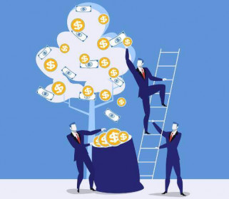Dược phẩm Hải Phòng trả tạm ứng cổ tức năm 2019 bằng tiền với tỷ lệ 15%
