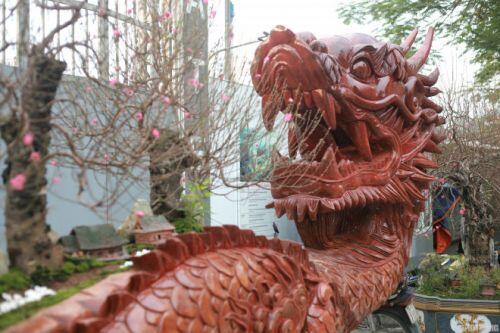 Ngắm chậu đào khủng 'Long quyện ngũ hành sơn' giá bạc tỷ trên phố Hà Nội