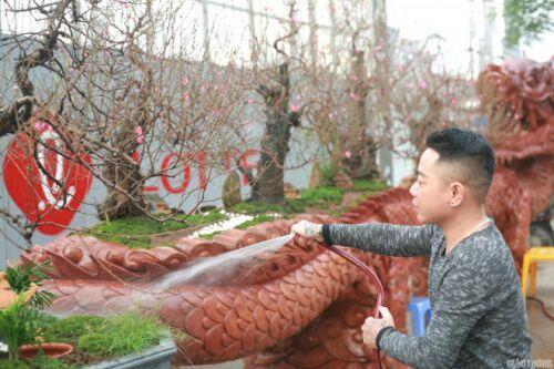 Ngắm chậu đào khủng 'Long quyện ngũ hành sơn' giá bạc tỷ trên phố Hà Nội