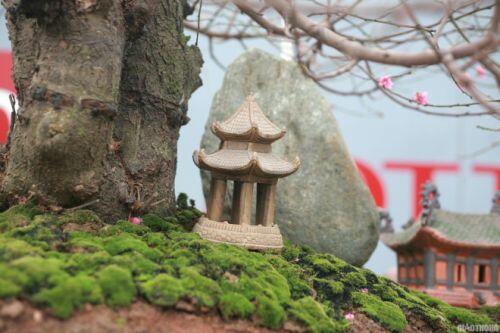 Ngắm chậu đào khủng 'Long quyện ngũ hành sơn' giá bạc tỷ trên phố Hà Nội