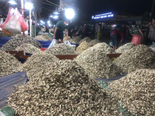 Hết thời trái cây 'đội lốt' xuất xứ