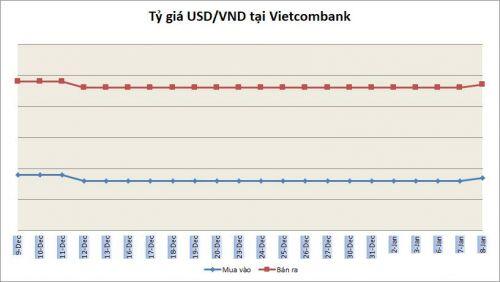 Tỷ giá ngày 8/1: Không nhiều biến động