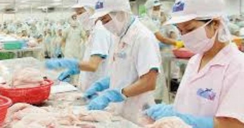 “Vua cá tra” có gì trước khi bắt tay với tỷ phú Trần Bá Dương?
