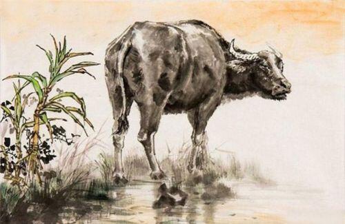 Xung đột và cách hóa giải để bảo toàn tài lộc cho 12 con giáp trong năm Canh Tý 2020