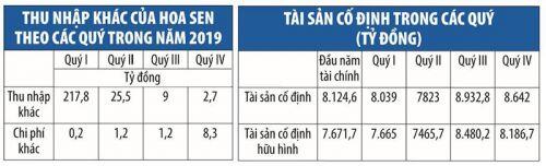 Tập đoàn Hoa Sen (HSG) và ẩn số thu nhập khác