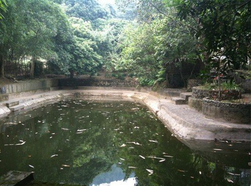 Căn nhà giản dị của nghệ sĩ Chí Trung và vợ trước ly hôn