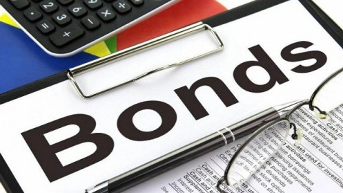 Năm 2019, quy mô thị trường TPDN chiếm 11.3% GDP