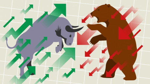 Nhịp đập Thị trường 13/01: VN-Index tiếp tục giằng co, HNX-Index rơi khỏi tham chiếu