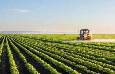 Xuất khẩu nông sản của EU sang Mỹ tăng vọt trước cơn bão thuế quan