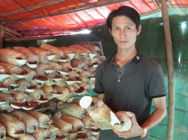 Bỏ nhiều nghề để về trồng nấm, thu lãi 200 triệu đồng/năm