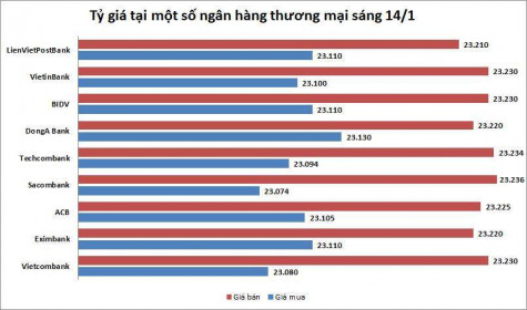 Tỷ giá ngày 14/1: Ổn định
