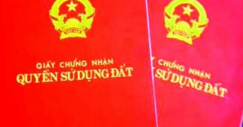 Xuất hiện "giả mạo" sổ đỏ, Chủ tịch Bình Định yêu cầu triệt phá đường dây!