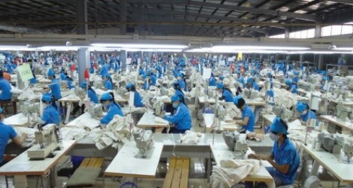 TNG: Doanh thu 2019 đạt 4.612 tỷ đồng, vượt 11% chỉ tiêu