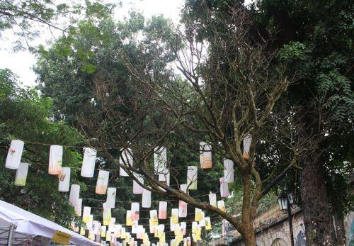 Đại gia chi hơn 3 tỷ đồng vẫn không mua nổi cây Hoàng mai 120 tuổi