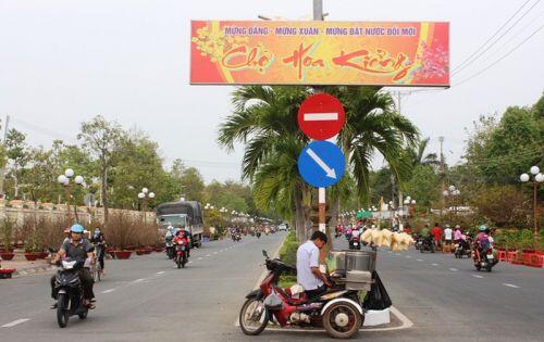 Chiêm ngưỡng cây mai 90 năm tuổi được rao bán 1 tỷ đồng