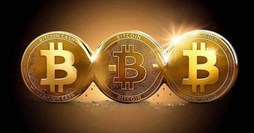 Bitcoin “đón Tết” giá trên 200 triệu đồng