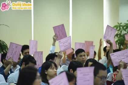 Tìm đường cho cổ đông nhỏ vào hội đồng quản trị